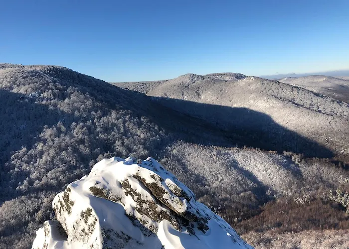 Tyllichova Hejnice (Liberec)